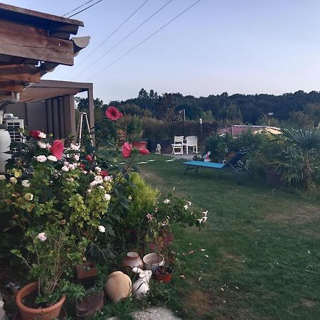 Champagne  Le Logis Du Bouil Bed & Breakfast エクステリア 写真